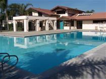 Don Day Pool_thumb.jpg